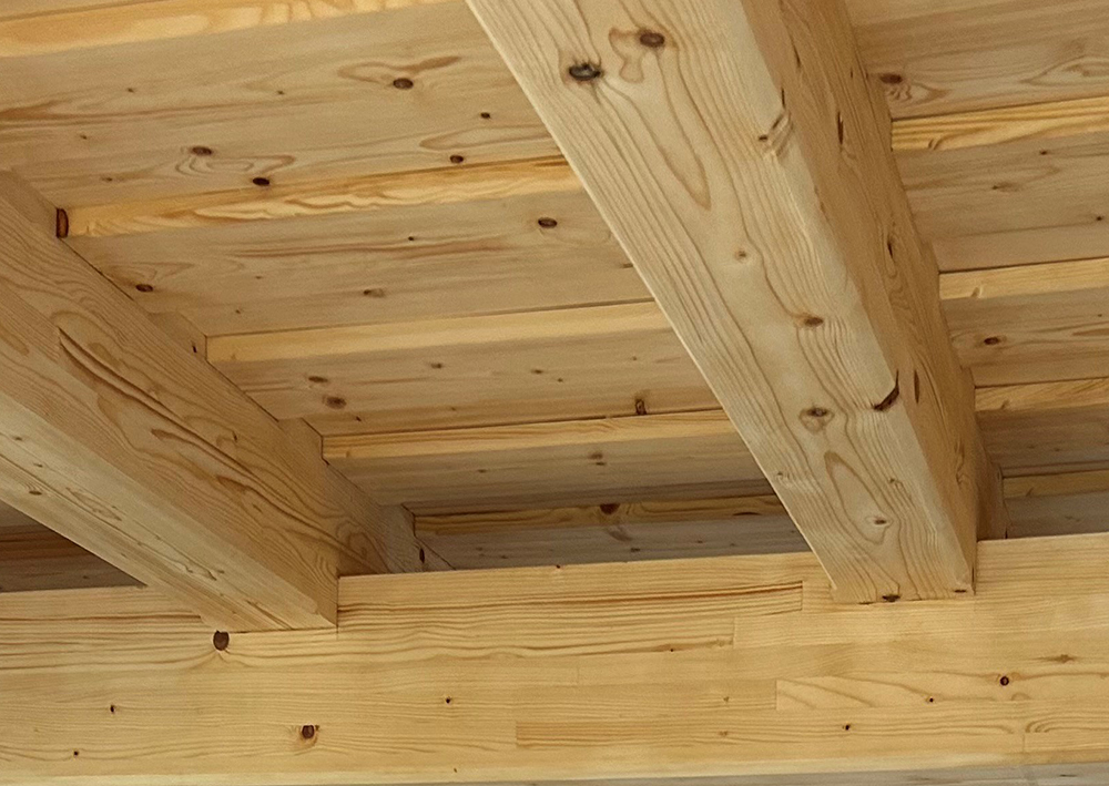 Jesenický horský Smrk